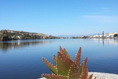 Vista del Lago di Ganzirri con cactus in primo piano