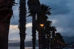 Palme all'imbrunire lungo la passeggiata di Torrefaro